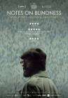 Notes on Blindness poster